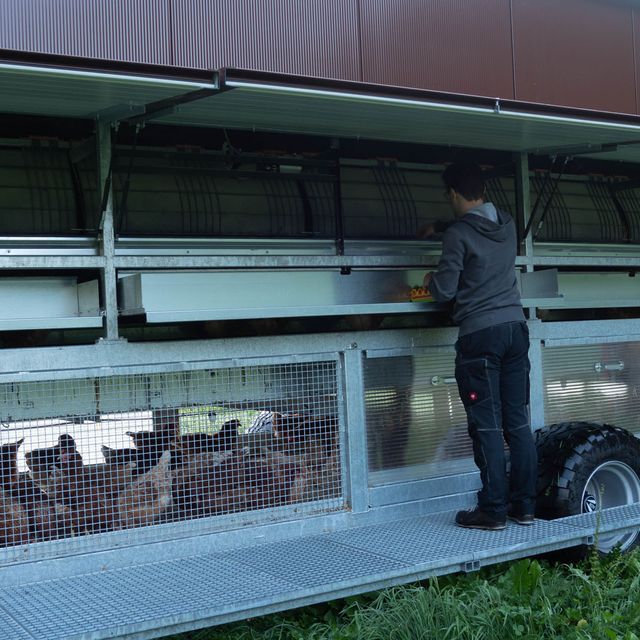 Mobiler Hühnerstall | Mitterbauer Stahlbau