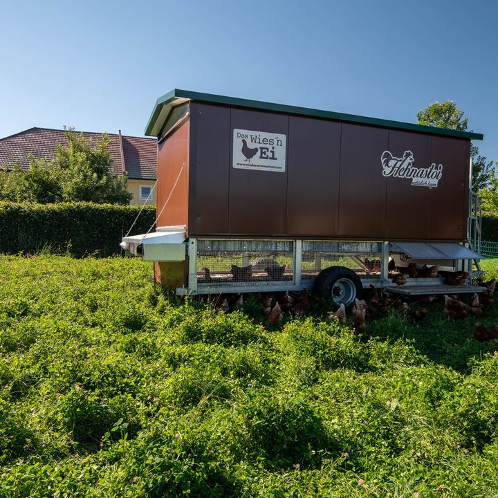 Mobiler Hühnerstall | Mitterbauer Stahlbau