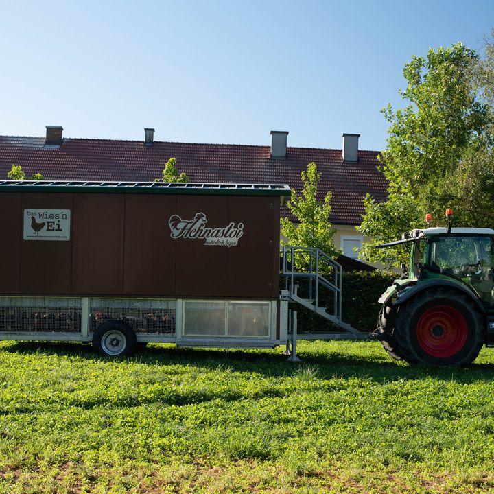 Mobiler Hühnerstall | Mitterbauer Stahlbau