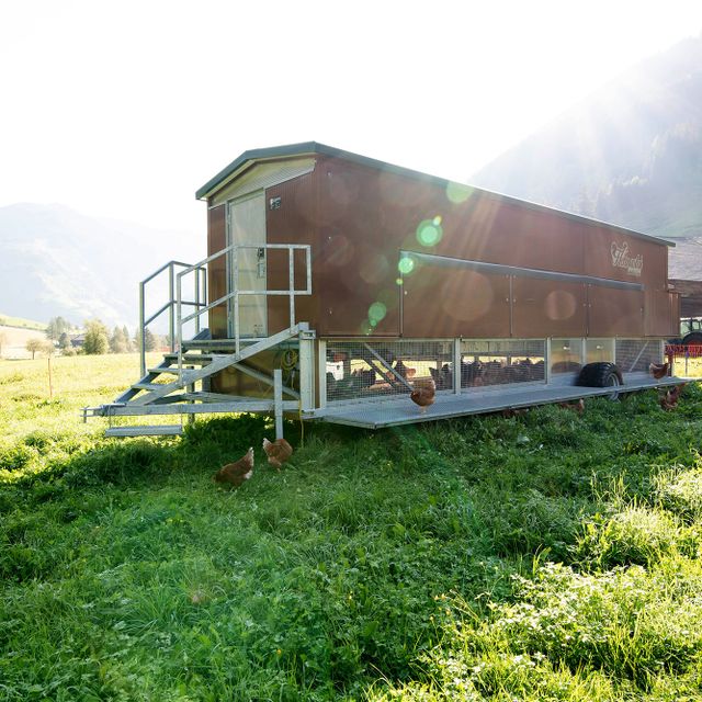 Mobiler Hühnerstall | Mitterbauer Stahlbau